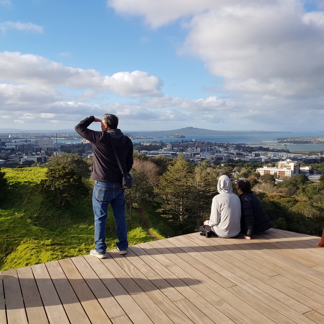 maungawhau boardwalk 1