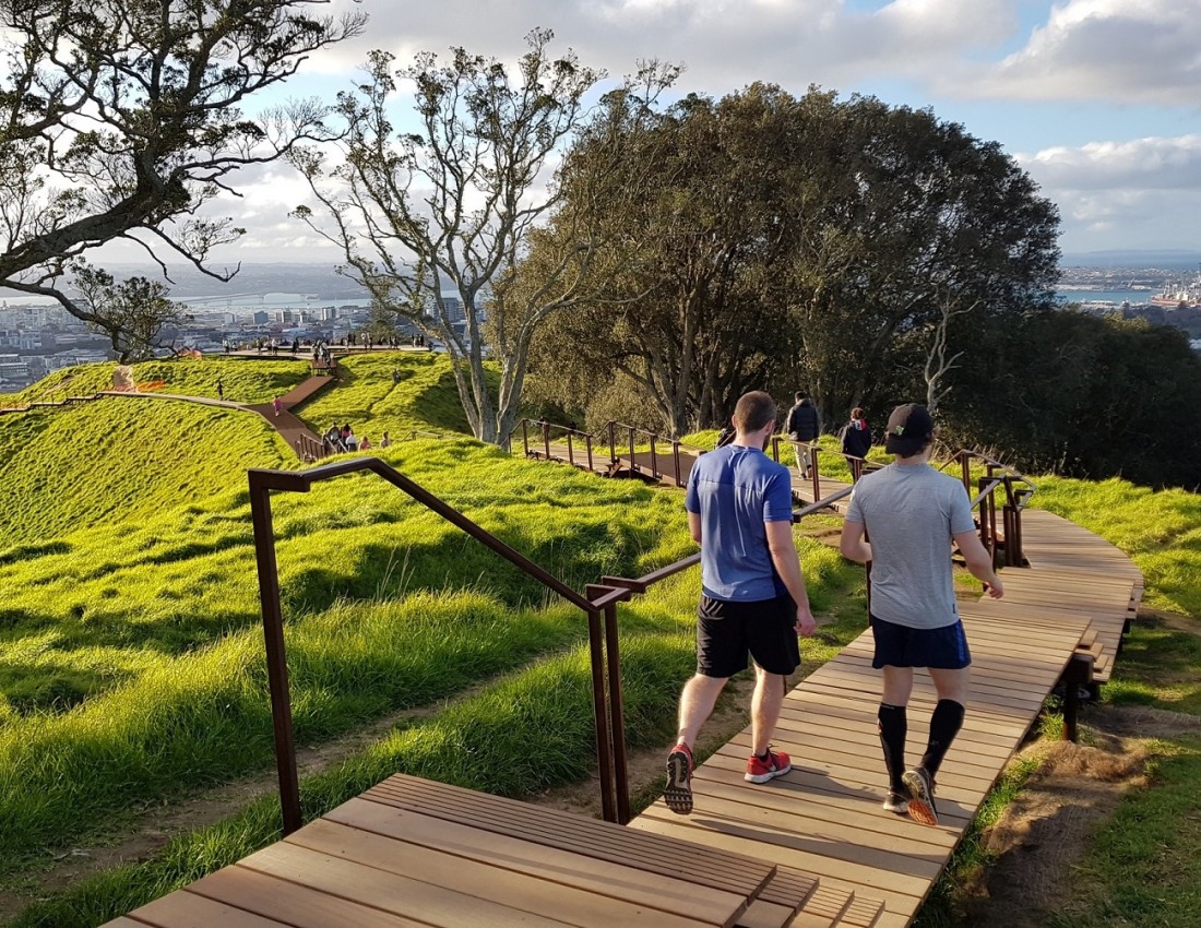 maungawhau boardwalk oa 2